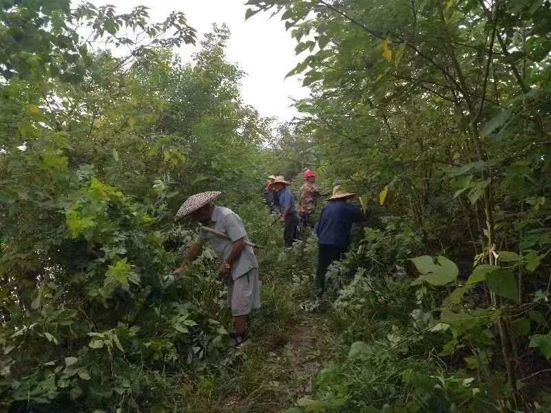 韩公渡镇：转战牛屎湖 全力护堤坝