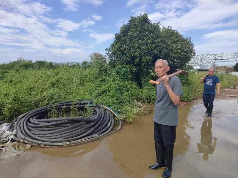 红云街道：78岁老党员一线防汛显担当