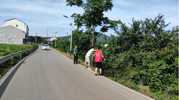 双桥坪镇：志愿服务暖人心 齐心协力美家园