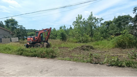 郭家鋪街道：清溝除草美環(huán)境，衛(wèi)生治理享健康生活