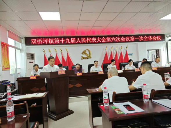 双桥坪镇第十九届人民代表大会第六次会议召开