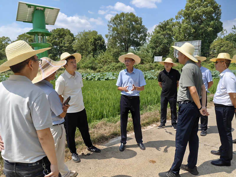 湖南省土壤肥料调研组到鼎城区调研指导土肥水重点工作