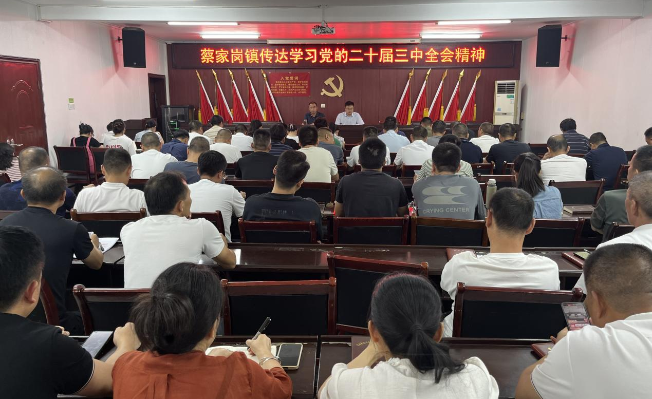 蔡家岗镇：共学全会精神 贡献智慧力量