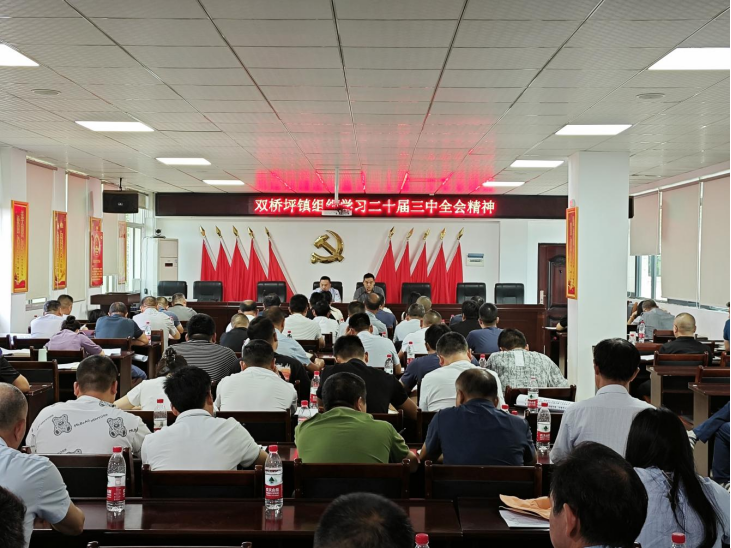 双桥坪镇：多形式宣讲让党的二十届三中全会精神“声”入人心