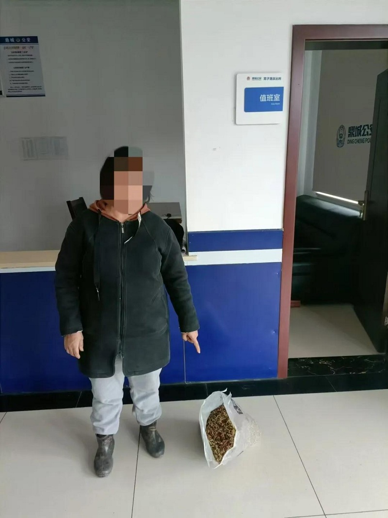 鼎城一女子偷摘路边的高粱被拘留
