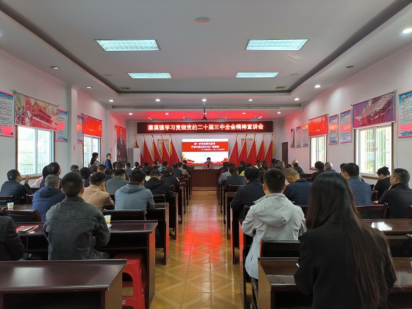 灌溪镇召开学习贯彻党的二十届三中全会精神宣讲会
