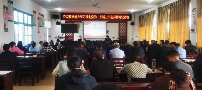 许家桥回维乡：召开学习贯彻党的二十届三中全会精神区委宣讲团报告会