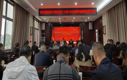 郭家铺街道：召开学习贯彻党的二十届三中全会精神区委宣讲团报告会
