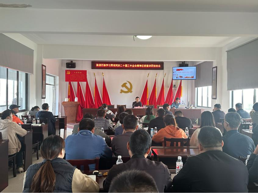 镇德桥镇：召开学习贯彻党的二十届三中全会精神区委宣讲团报告会