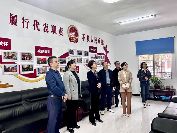 余习琼到灌溪镇开展人大代表进站履职活动