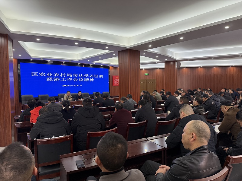 区农业农村局传达学习区委经济工作会议精神