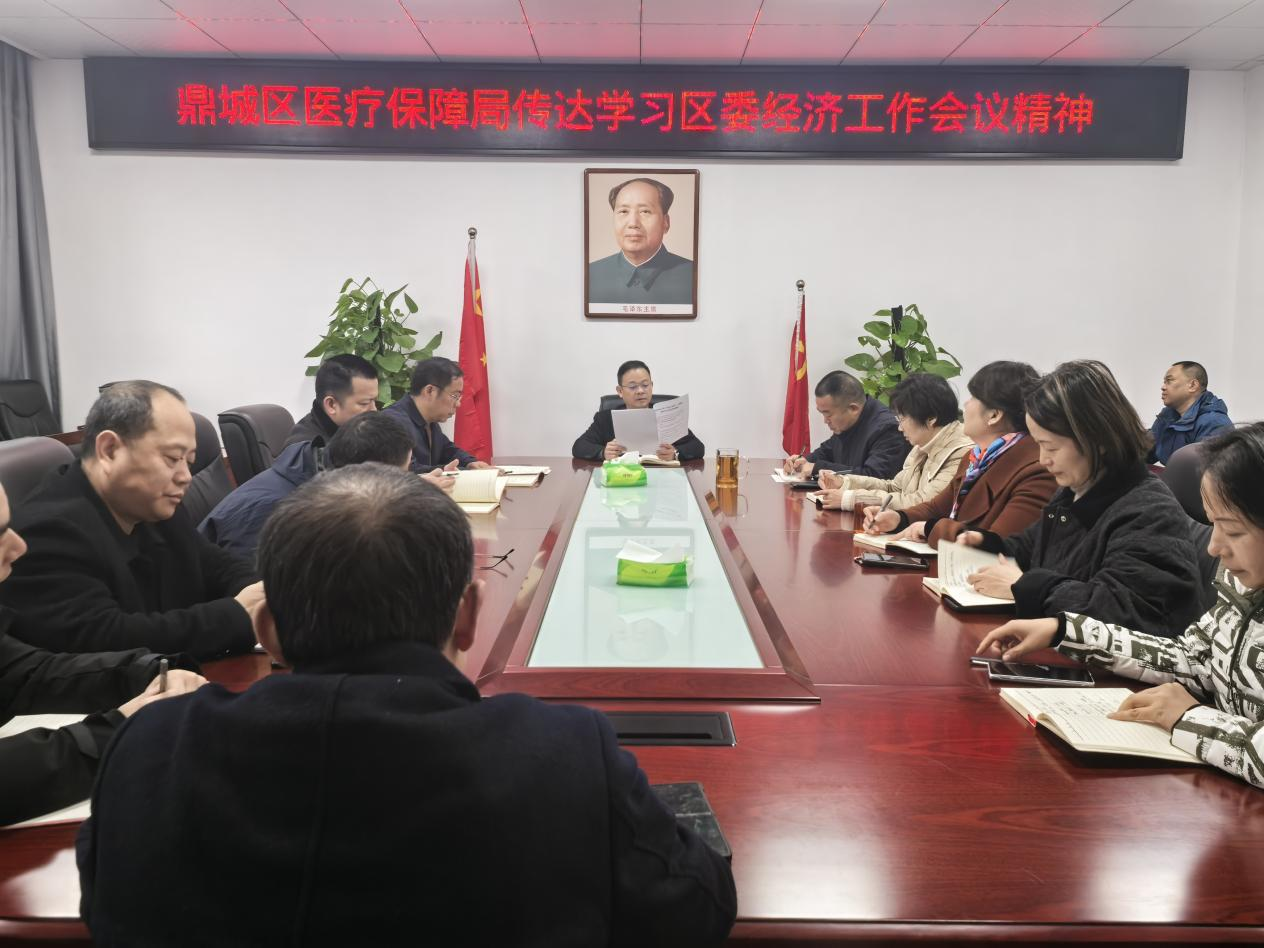 鼎城区医疗保障局传达学习区委经济工作会议精神