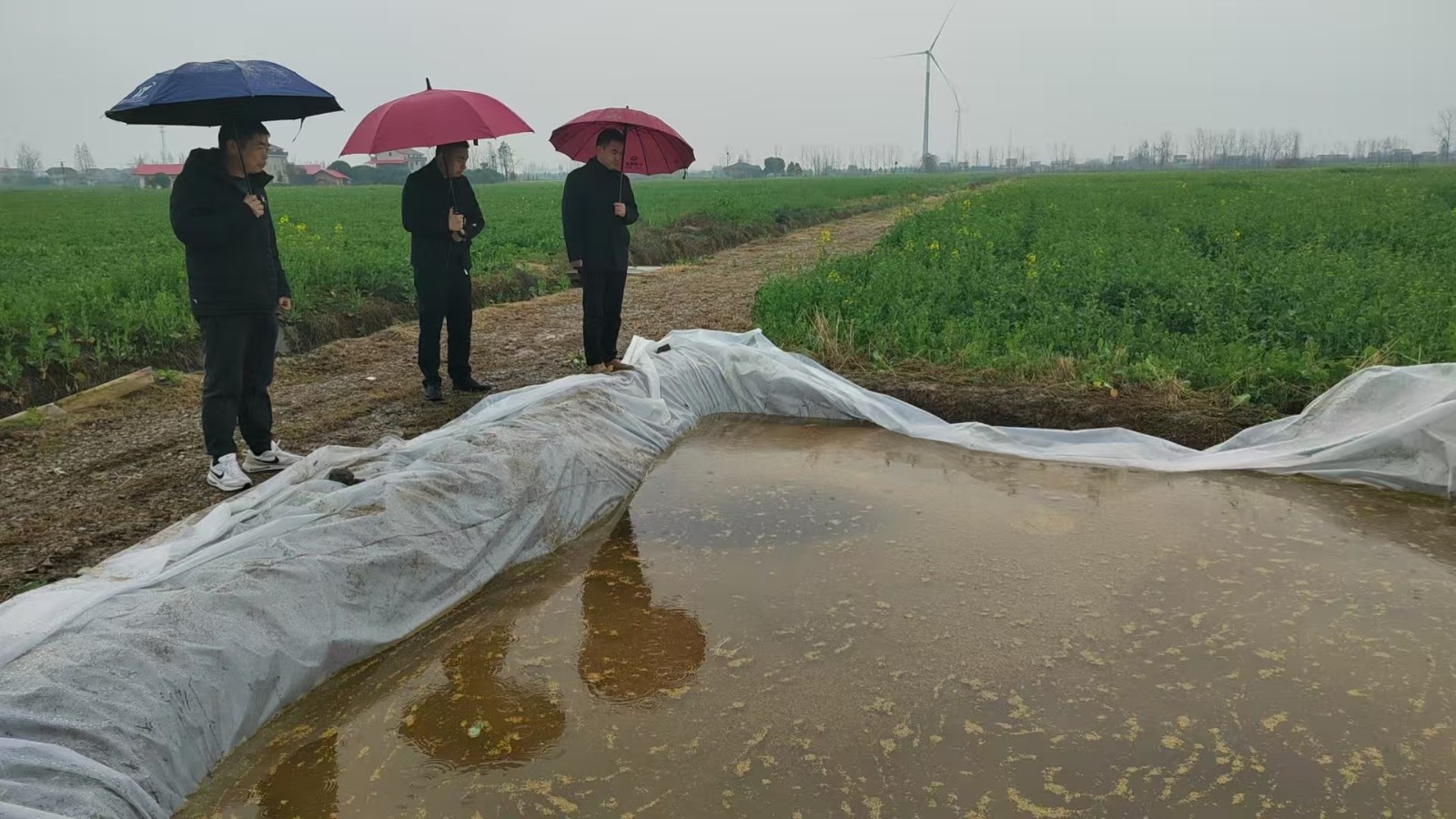 中河口镇：筑牢粮食安全根基，大户浸种翻耕齐驱