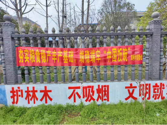 双桥坪镇：机械轰鸣 奏响春耕“奋进曲