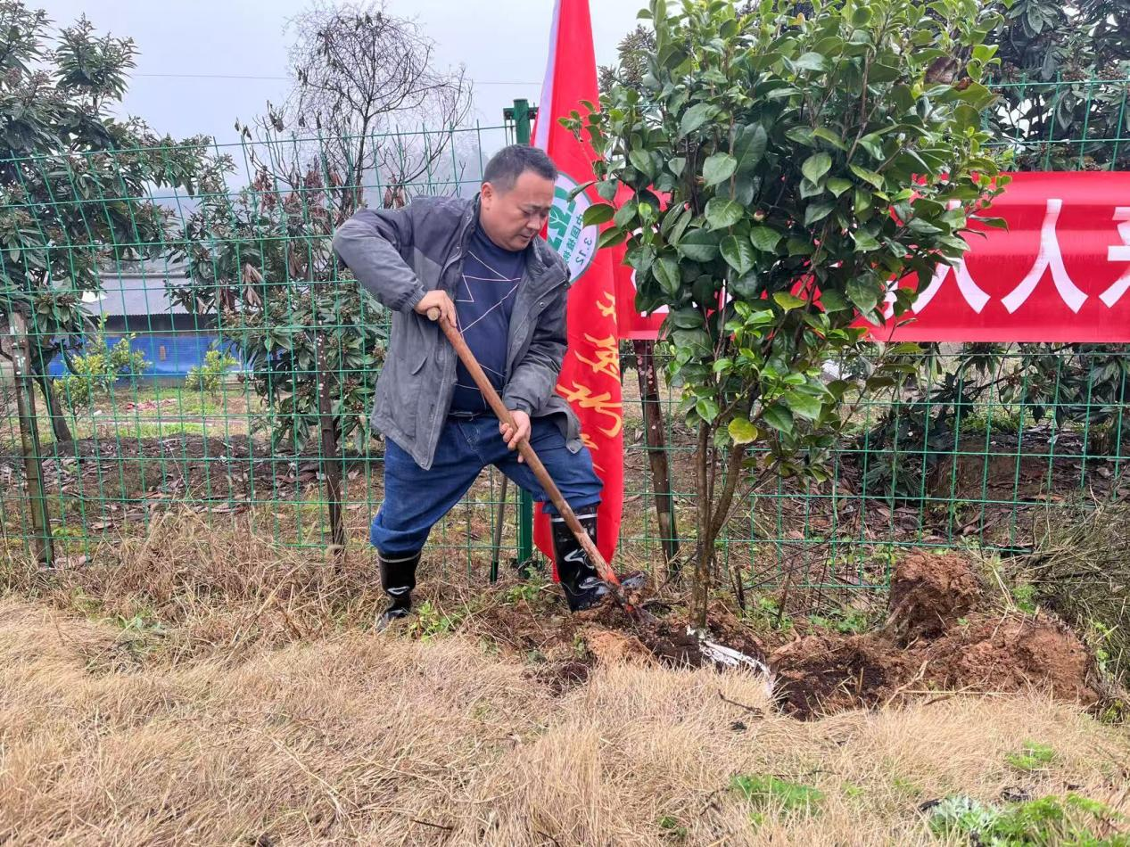草坪镇：学雷锋见行动  义务植树扬新风