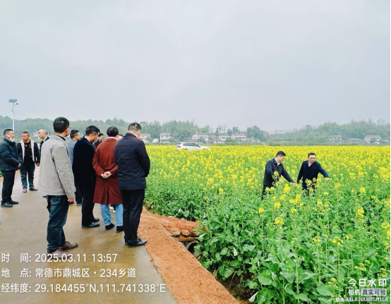 双桥坪镇：科技赋能“金花”铺就乡村振兴路
