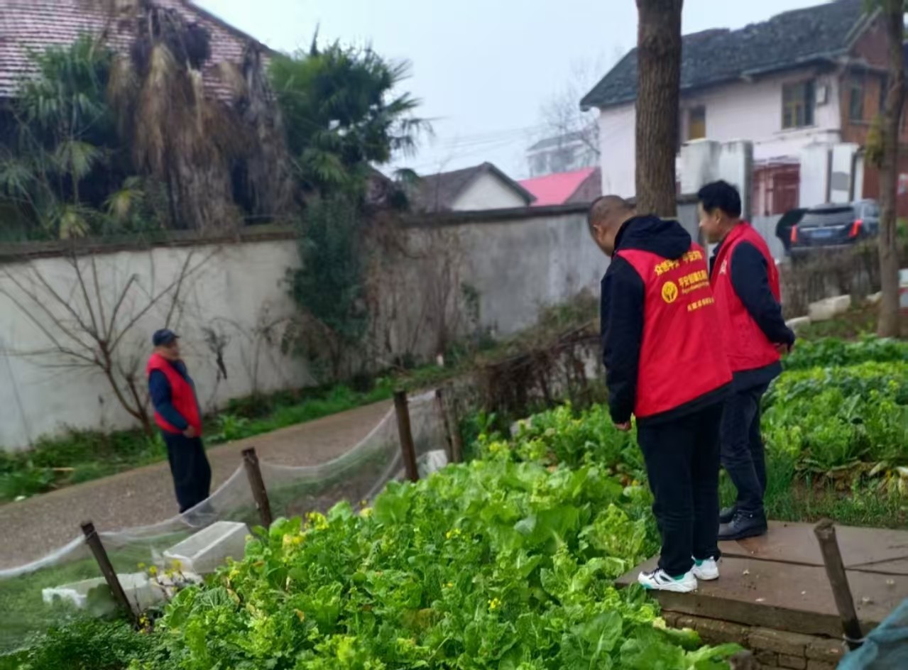 周家店镇：开展禁毒铲毒行动  守护无毒家园