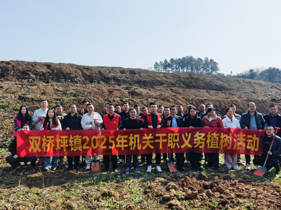 双桥坪镇：春风和煦绿意浓 干群齐心植新篇