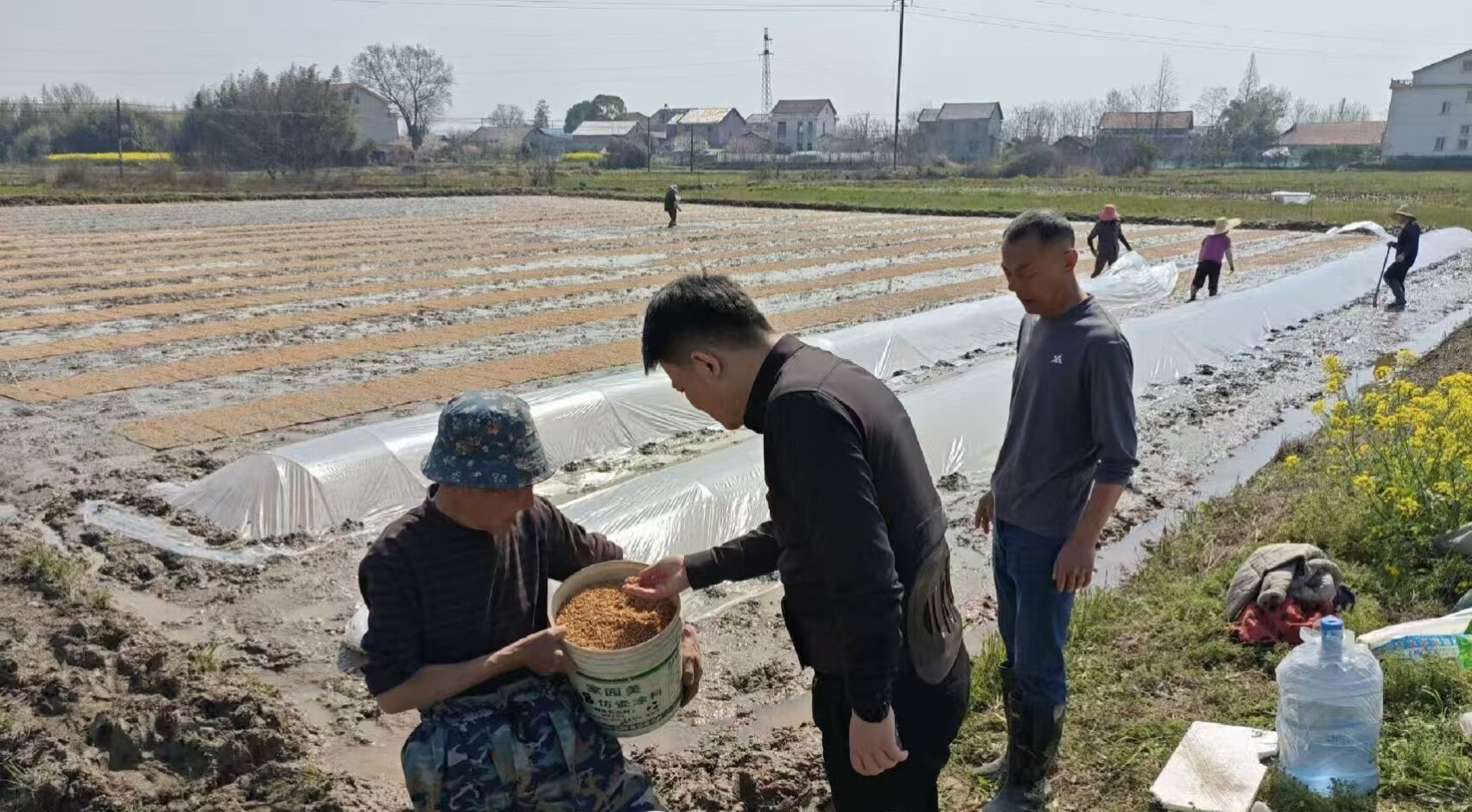 韩公渡镇：抢抓农时春耕忙 万亩沃野启新章
