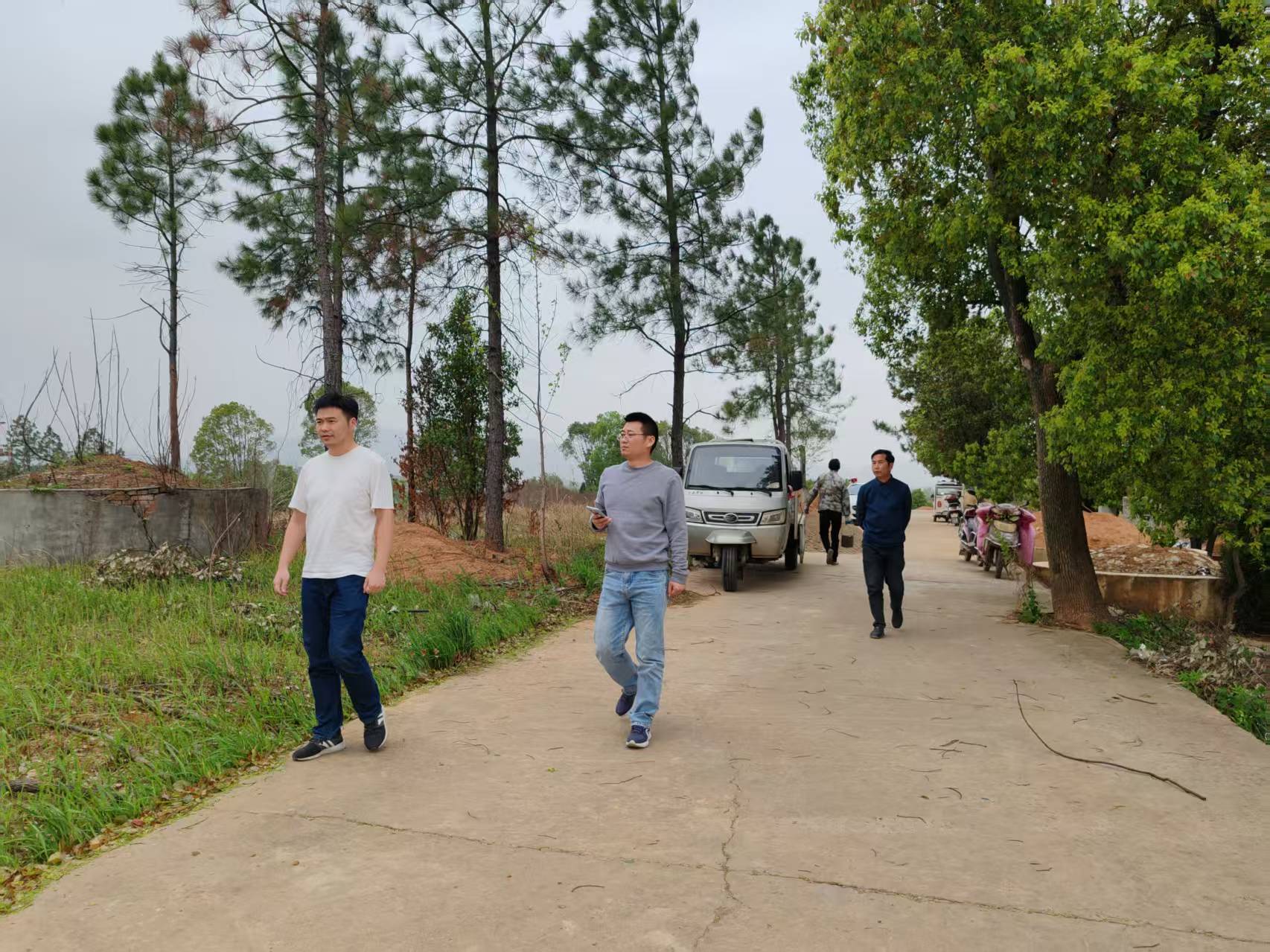 镇德桥镇：森林防火不松懈、道路安全严把关
