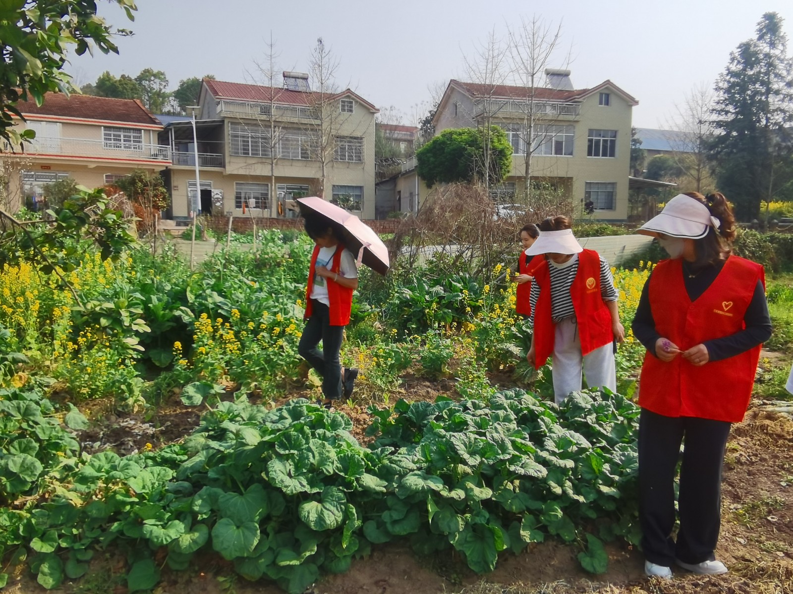 石板滩镇：开展春季禁种铲毒踏查行动