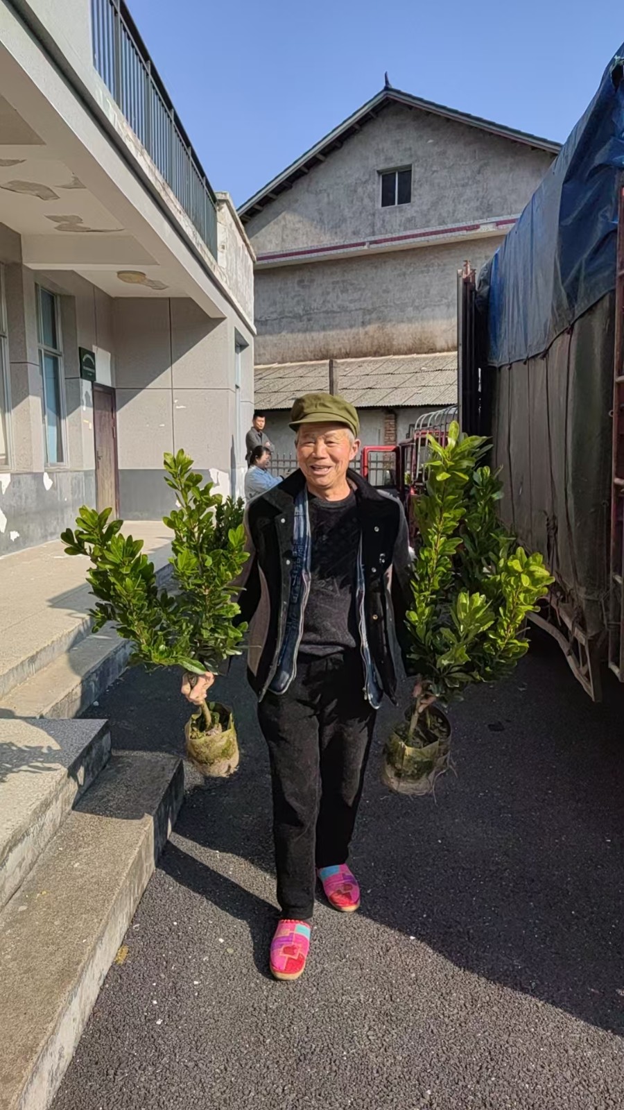 鼎城区全面开展“身边增绿 ”试点活动