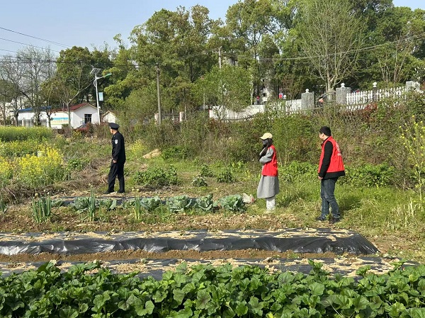 灌溪镇：深入开展禁种铲毒踏查行动，筑牢禁毒