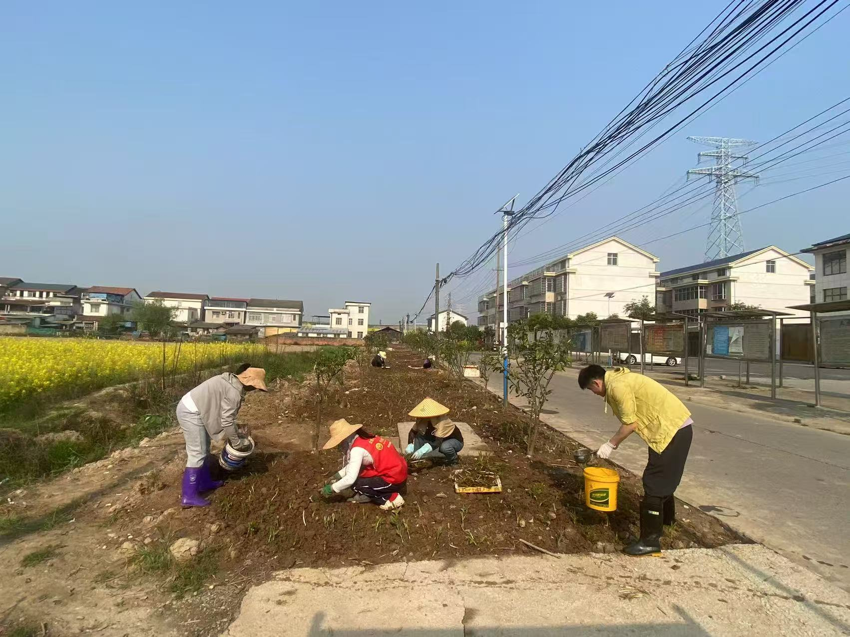郭家铺街道：“种”出绿色经济，助力产业发展