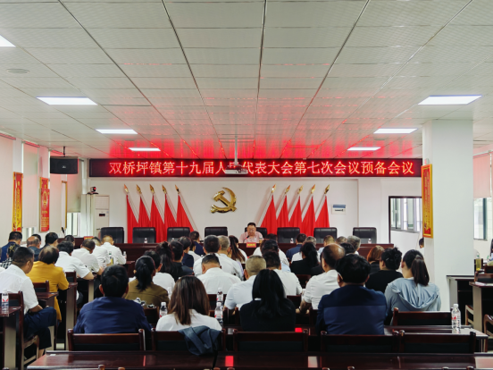 双桥坪镇第十九届人民代表大会第七次会议胜利召开