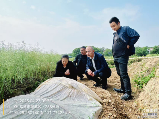 双桥坪镇：田间问诊护棉苗 一线指导保春耕