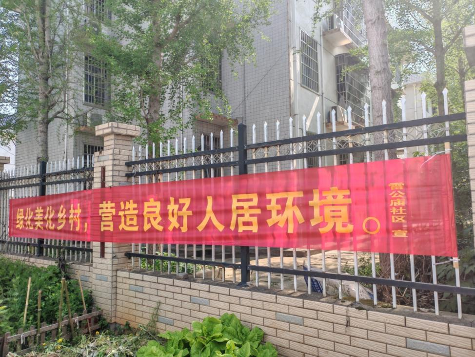 共护人居环境，绘就秀美画卷