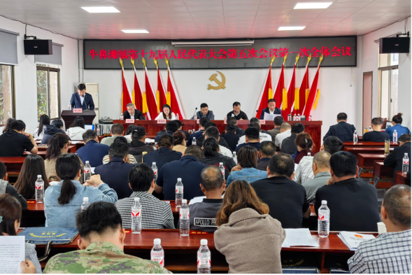 牛鼻滩镇：第十九届人民代表大会第五次会议胜利召开
