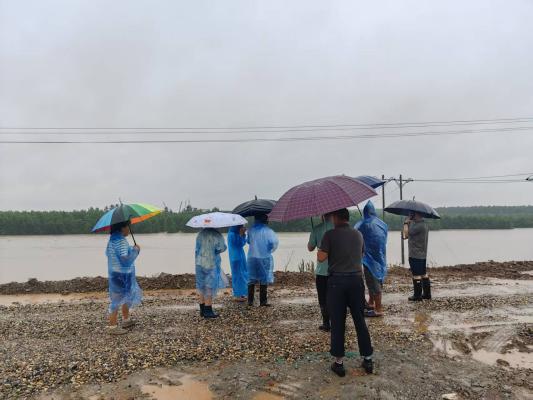 十美堂镇：闻“汛”而动筑防线 党旗飘扬保安全