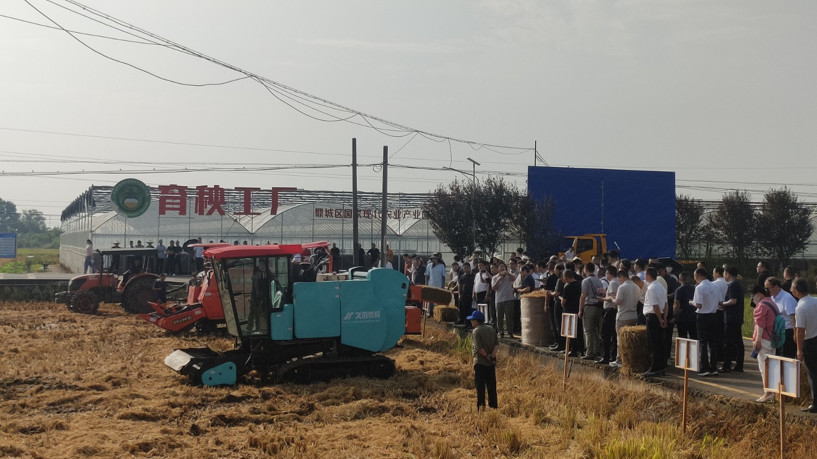 全省水稻秸秆机械还田与离田技术现场会在镇德桥镇成功举办