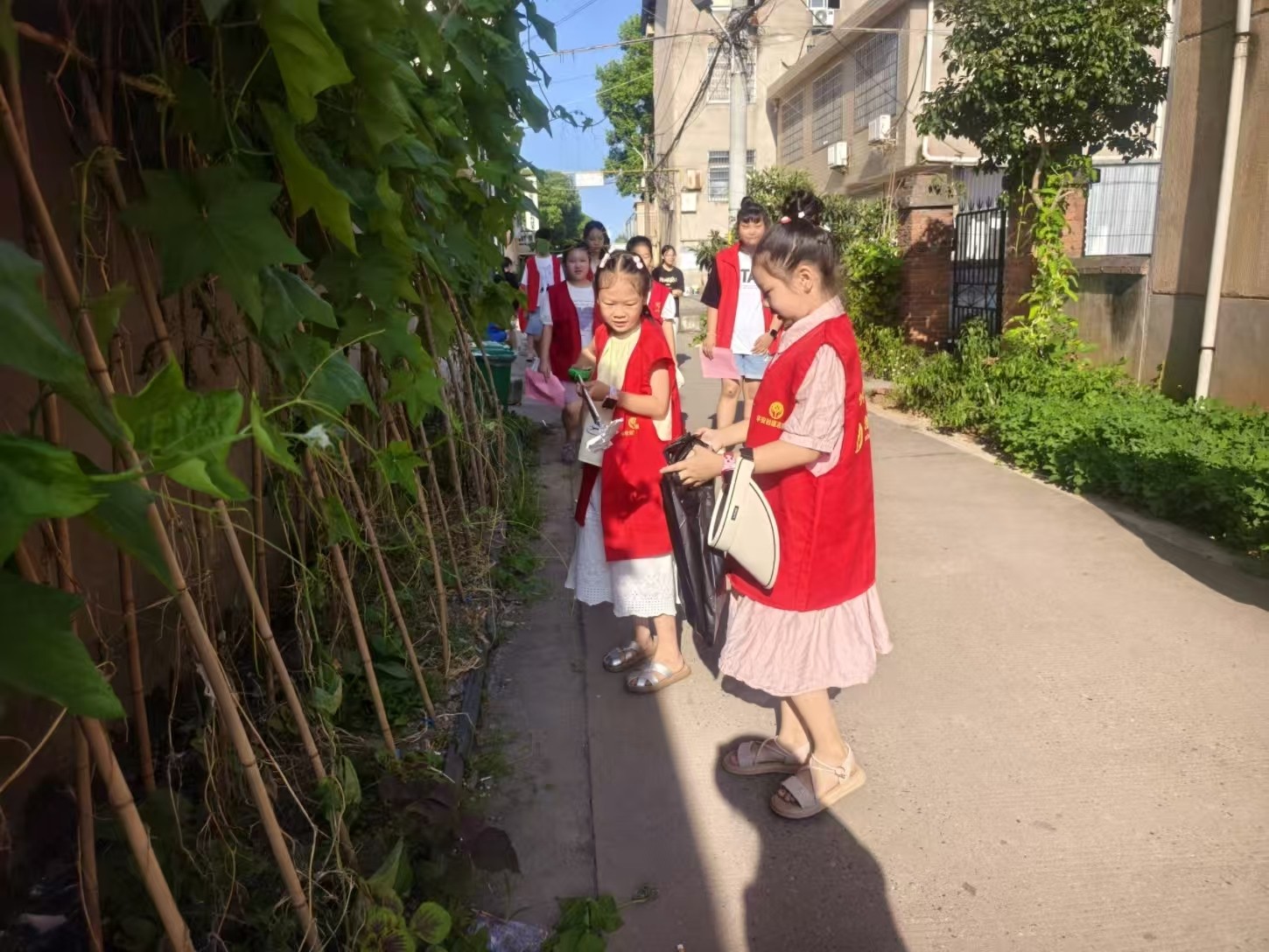 郭家铺街道：暑期行动 共绘社区环境新画卷