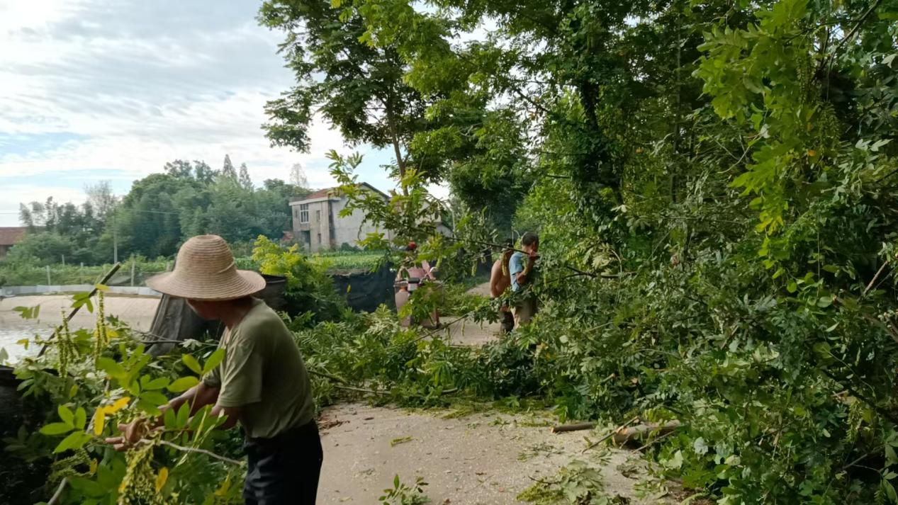 韩公渡镇郑家湾村：全力清扫道路 点亮乡村之美