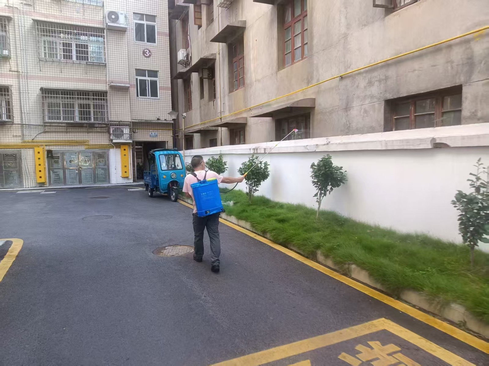 警惕基孔肯雅热！玉霞街道全面开展灭蚊防病行动