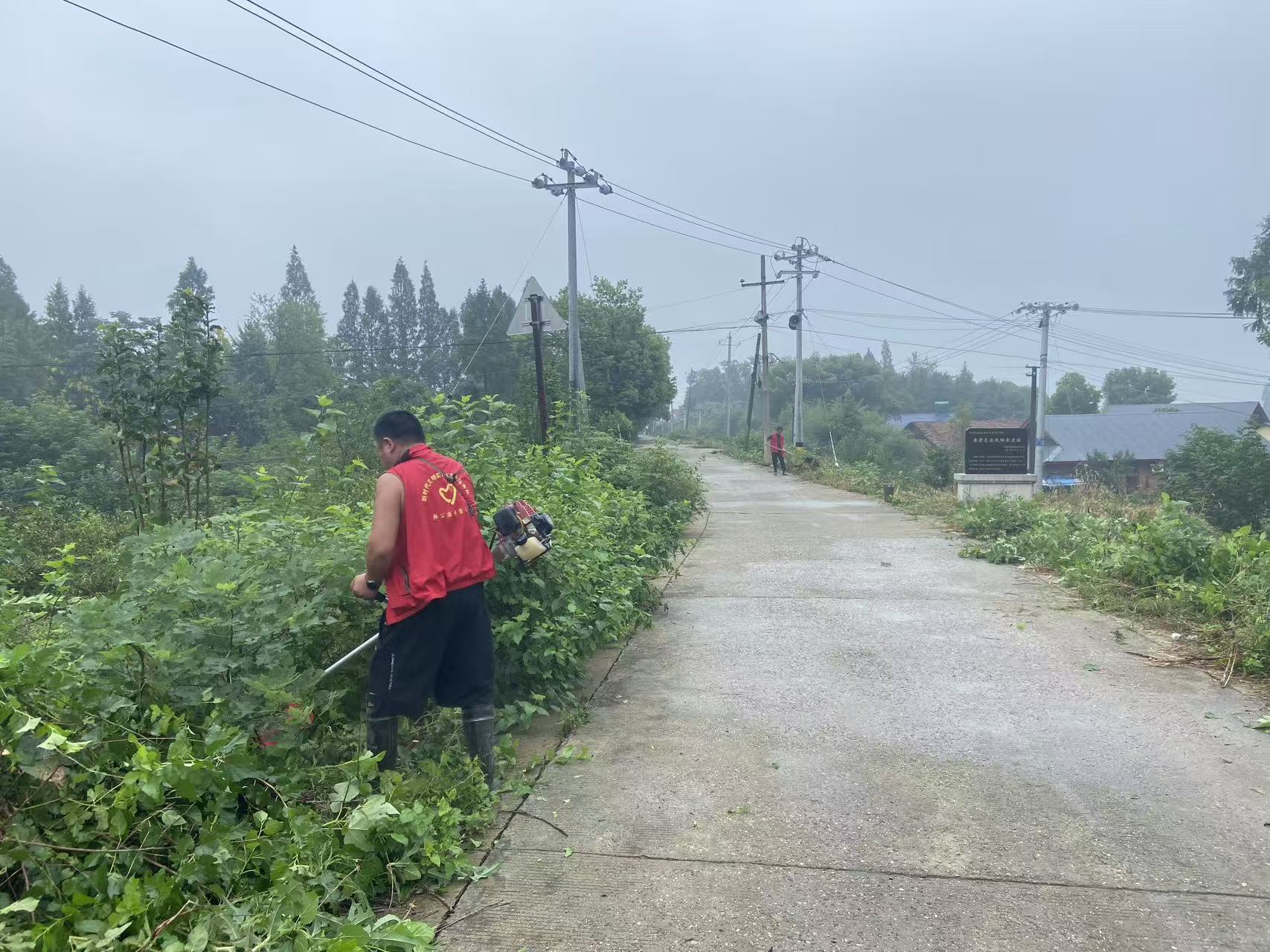 韩公渡镇：双措并施！“‘两车’整治+清基除杂”守护群众出行安全