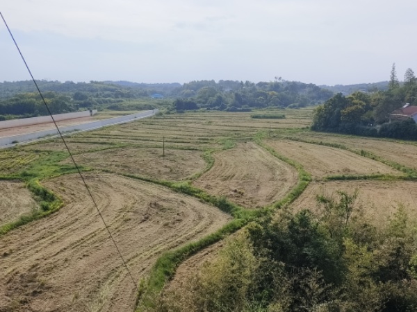 灌溪街道：秸稈綜合利用 變“廢”為寶