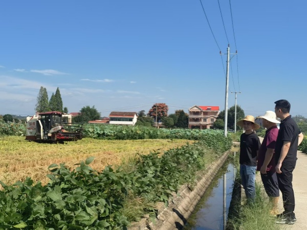 灌溪街道：积极发挥委员优势 助力秸秆综合利用