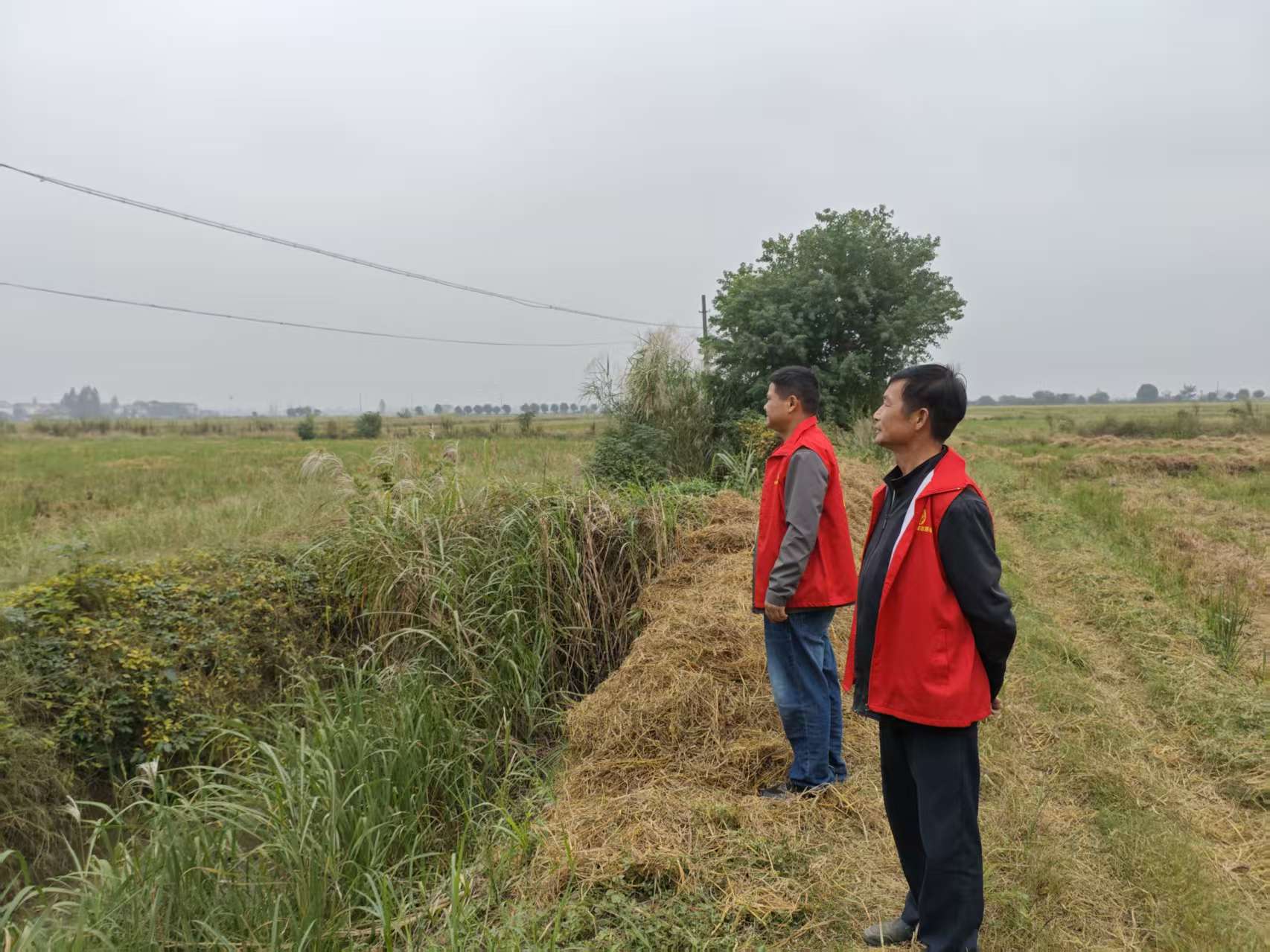 韩公渡镇：多措并举筑牢禁烧防线 疏堵结合推动绿色发展