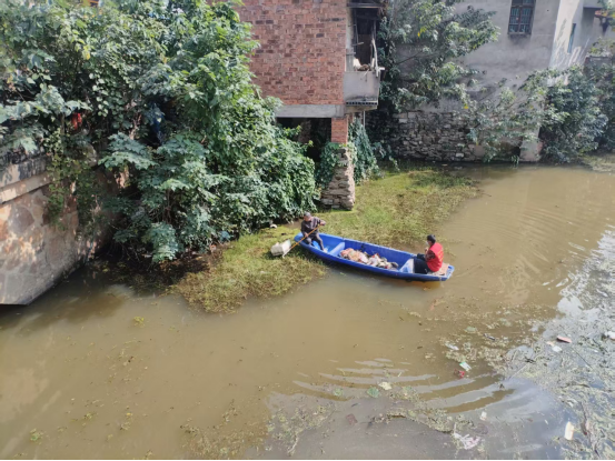 双桥坪镇：守护绿水青山在行动