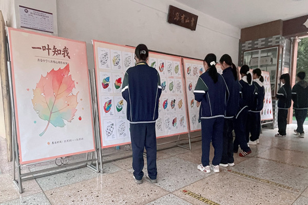 善卷中学：以叶为纸描绘心灵画卷