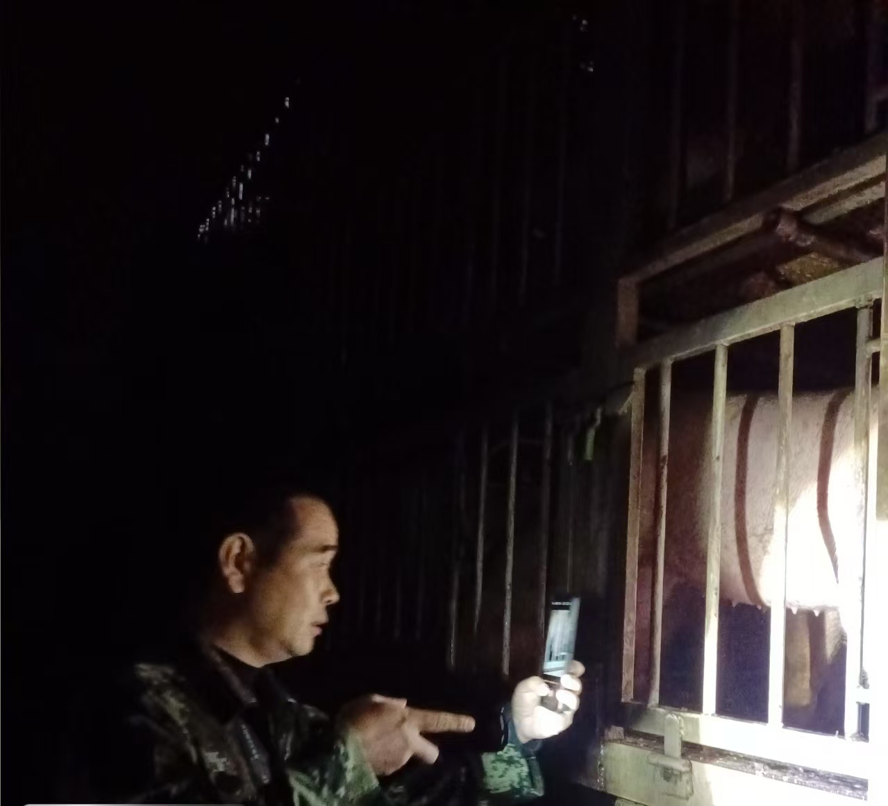 韩公渡镇：八日奋战忙检疫 “猪”事兴旺促增收