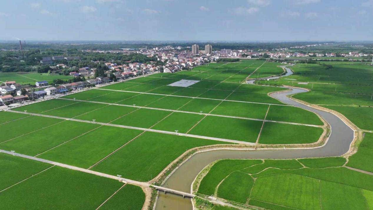 常德市鼎城区： 公益金“活水”润沃野  绘就乡村振兴新画卷