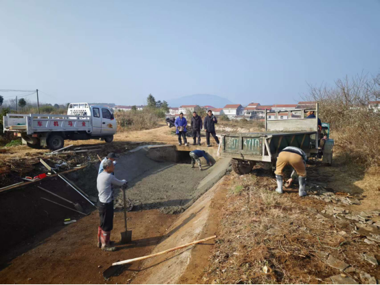 双桥坪镇：疏通“动脉”保灌溉，夯实基础惠民生