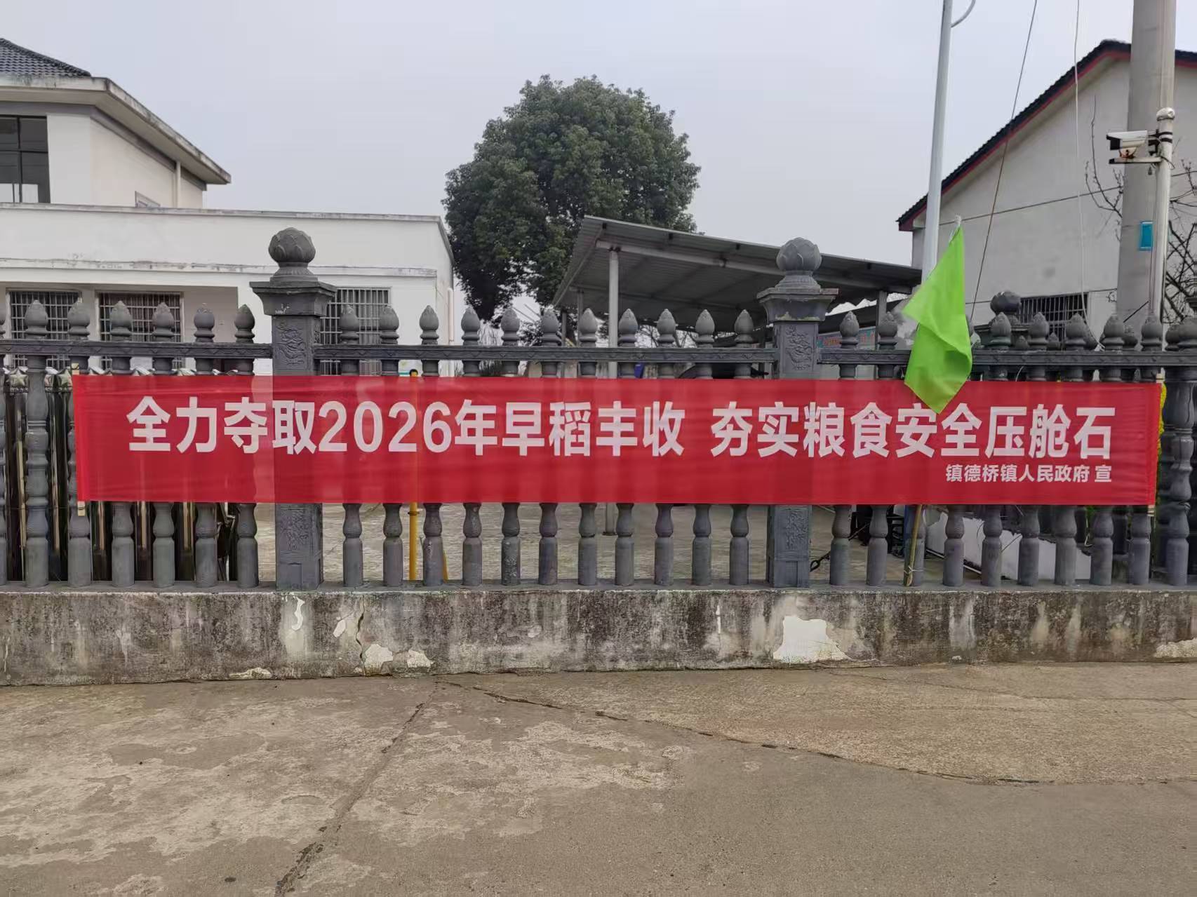 镇德桥镇：一线抓落实 聚力稳春耕