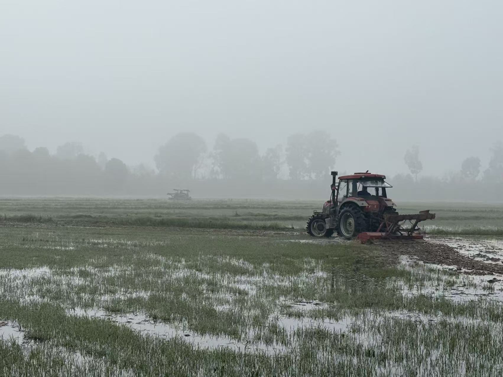 石公桥镇：良田“深呼吸” “铁牛”画丰年