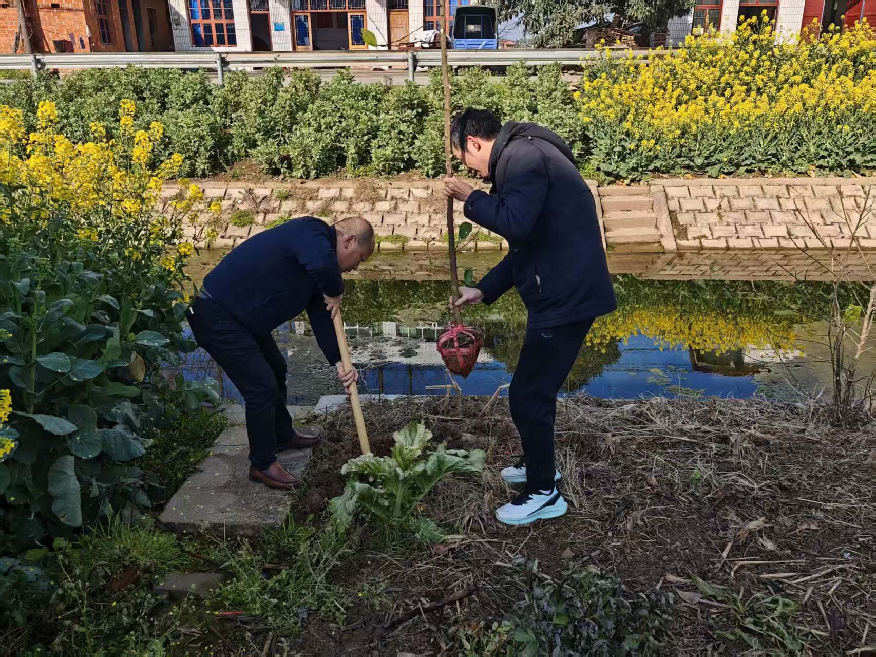 蒿子港镇：春风添新绿 植树正当时