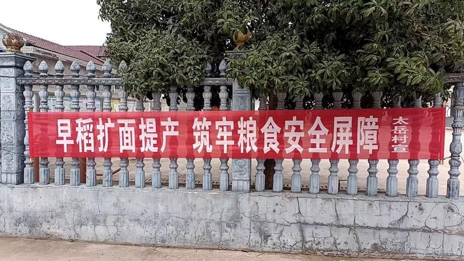 蒿子港镇：多措并举抓春耕 稳粮增收开好局